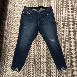 Lane Bryant Jeans